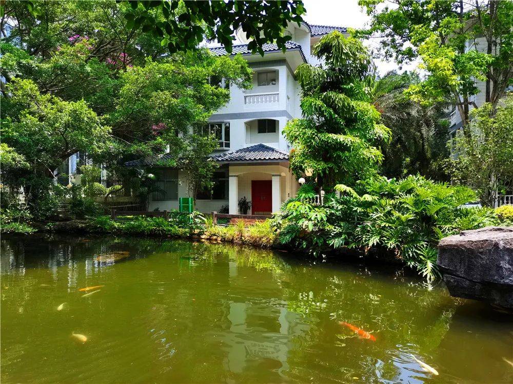 住广州郊外从化流溪河畔温泉酒店,泡认证园林真温泉,畅游户外泳池,含2