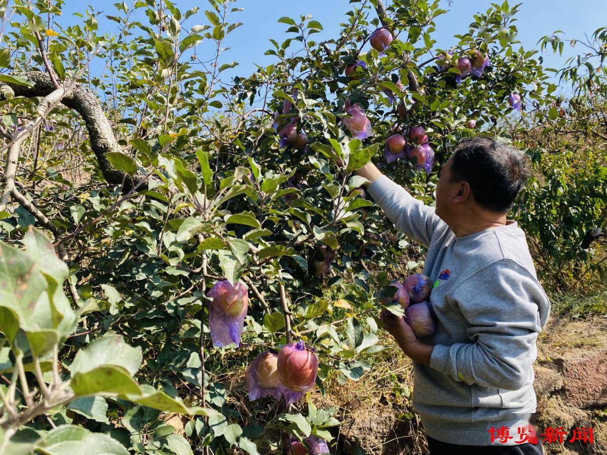 蹲点日记|44路公交车开进马家沟_村民_淄博_马家沟村
