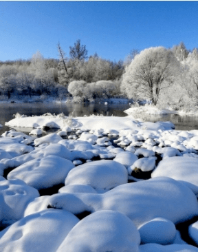 小兴安岭之雪_伊春_大地_精灵
