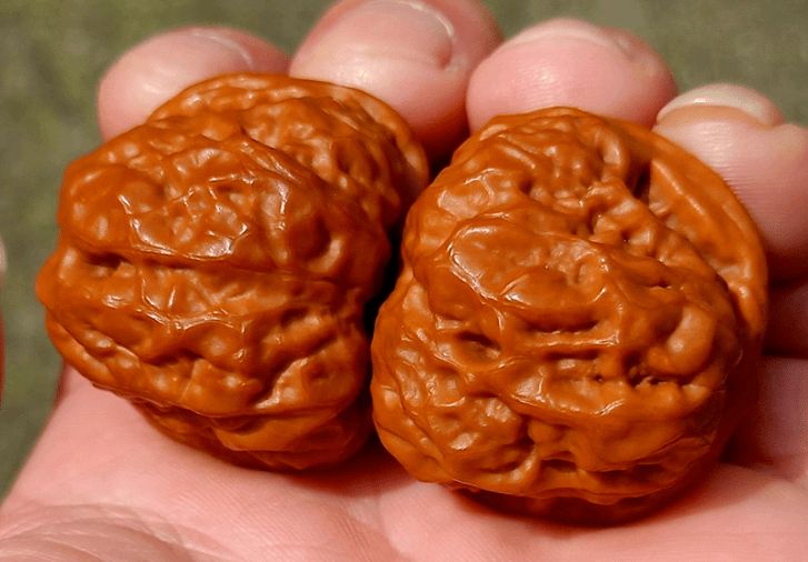 宫灯狮子头宫灯狮子头,又名玉玺狮子头,是一种历史悠久的文玩核桃