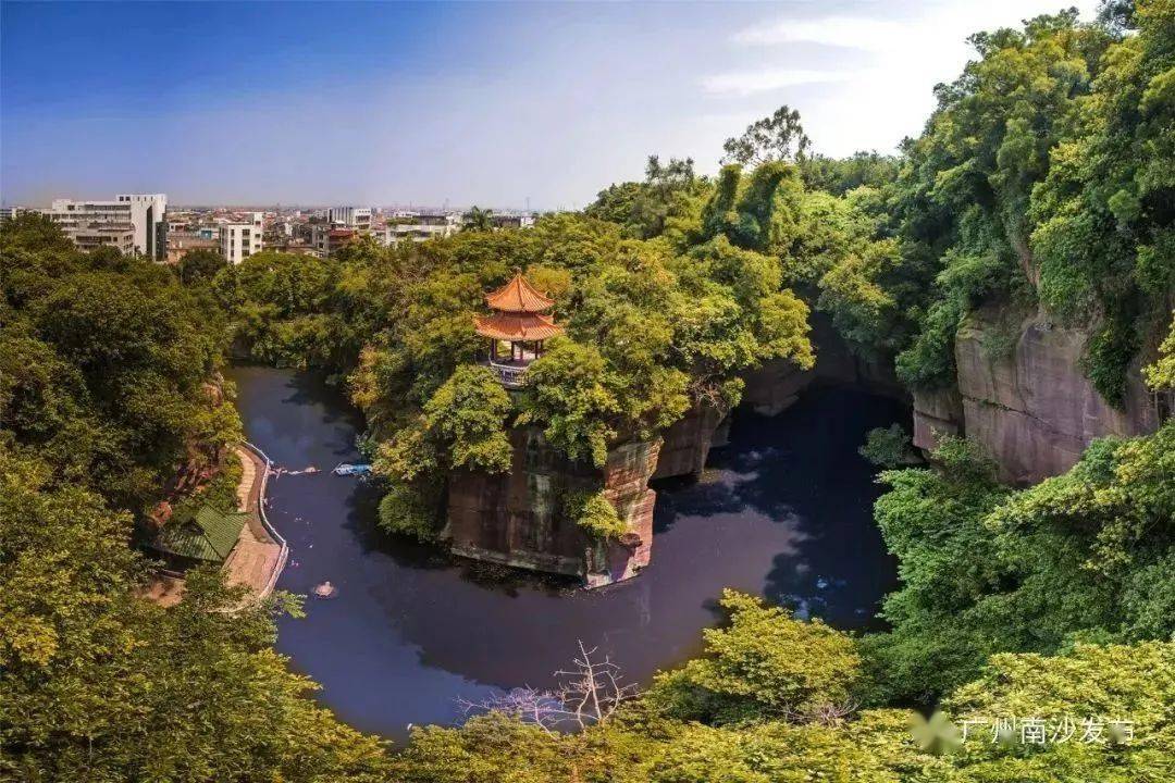 南沙有了首个古树公园,除了古树里面还有……_大岗_广州市_遗址