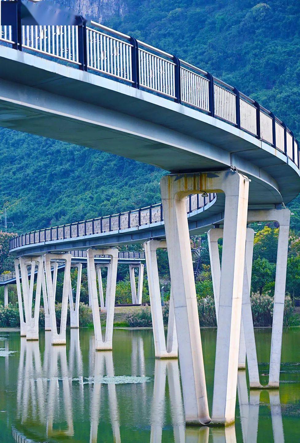 黄石湿地公园彩虹桥图片