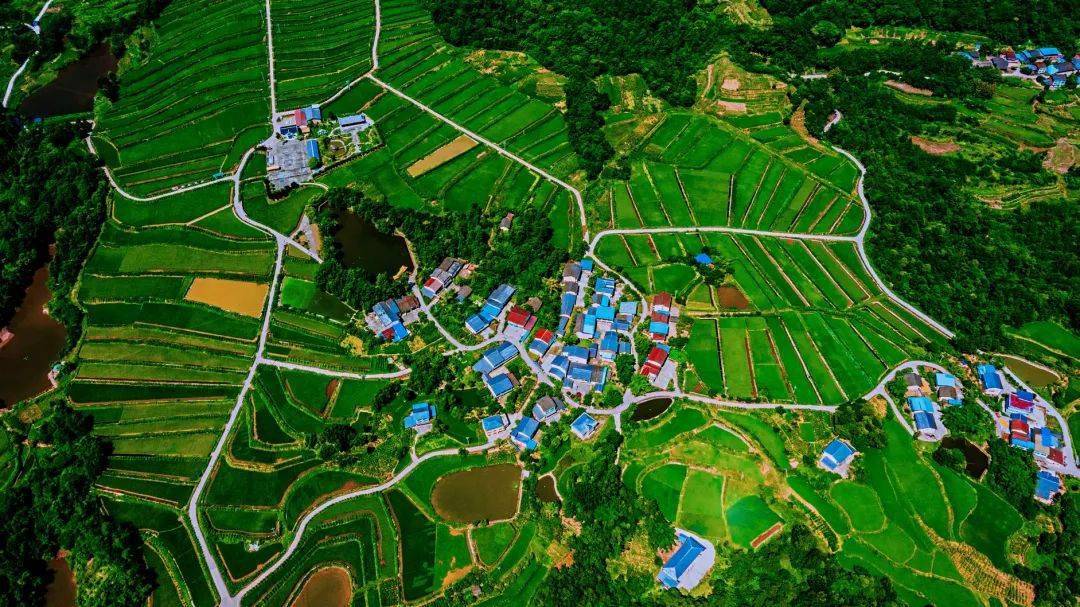 从"国贫县"到"百强县"!宣汉为什么能?_发展_项目_达州