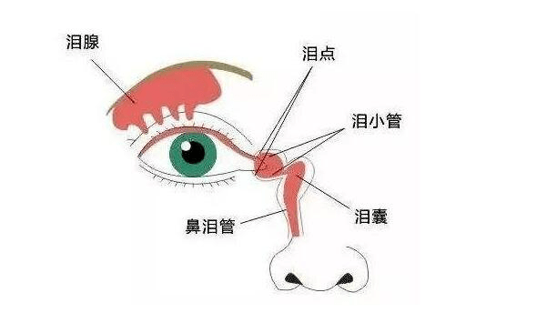 2,眼睛肿哭多了很容易造成眼睛肿.