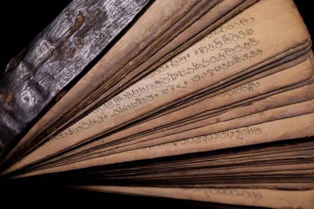 闲持贝叶书,步出东斋读——贝叶经_佛教_历史_贝多罗