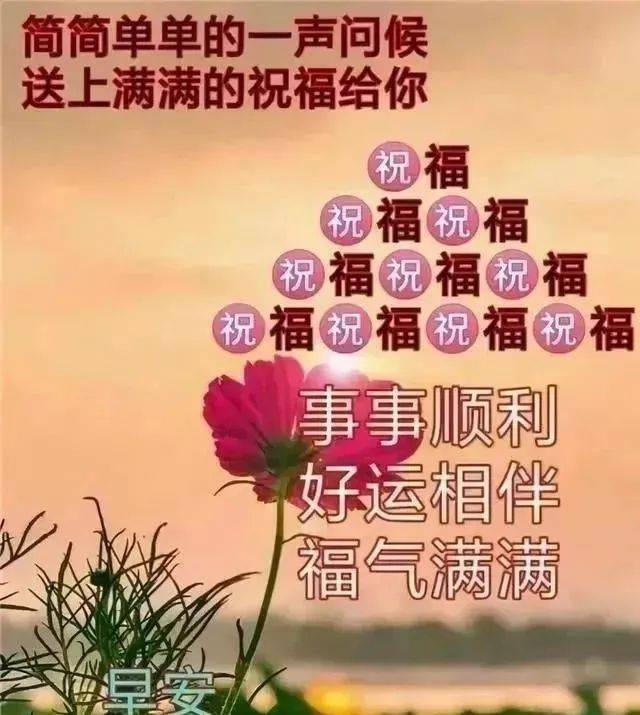 今日最新早上好表情图片大全,简单问候,快乐祝福,_阳光_经历_短信