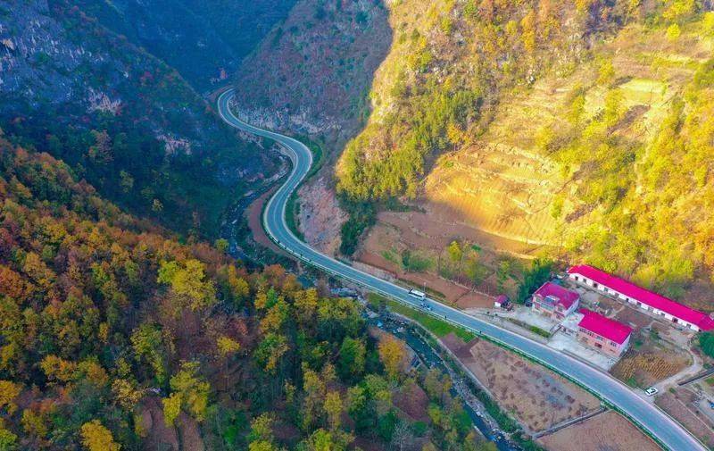 走进镇安|国道345美景如画 桃源湖碧水映红叶_安融媒_新闻_吴相阳