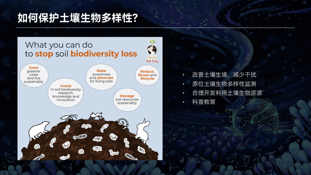 褚海燕:隱藏在我們腳下的世界_土壤_生物圈_動物