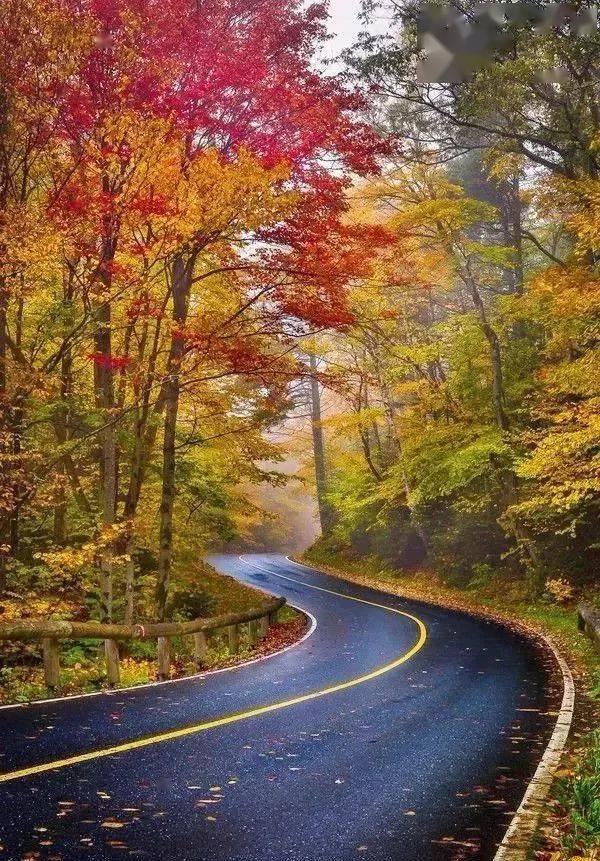 漫漫人生风雨路,处处皆是好风景