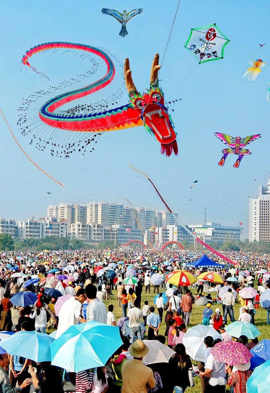 东莞风筝广场图片