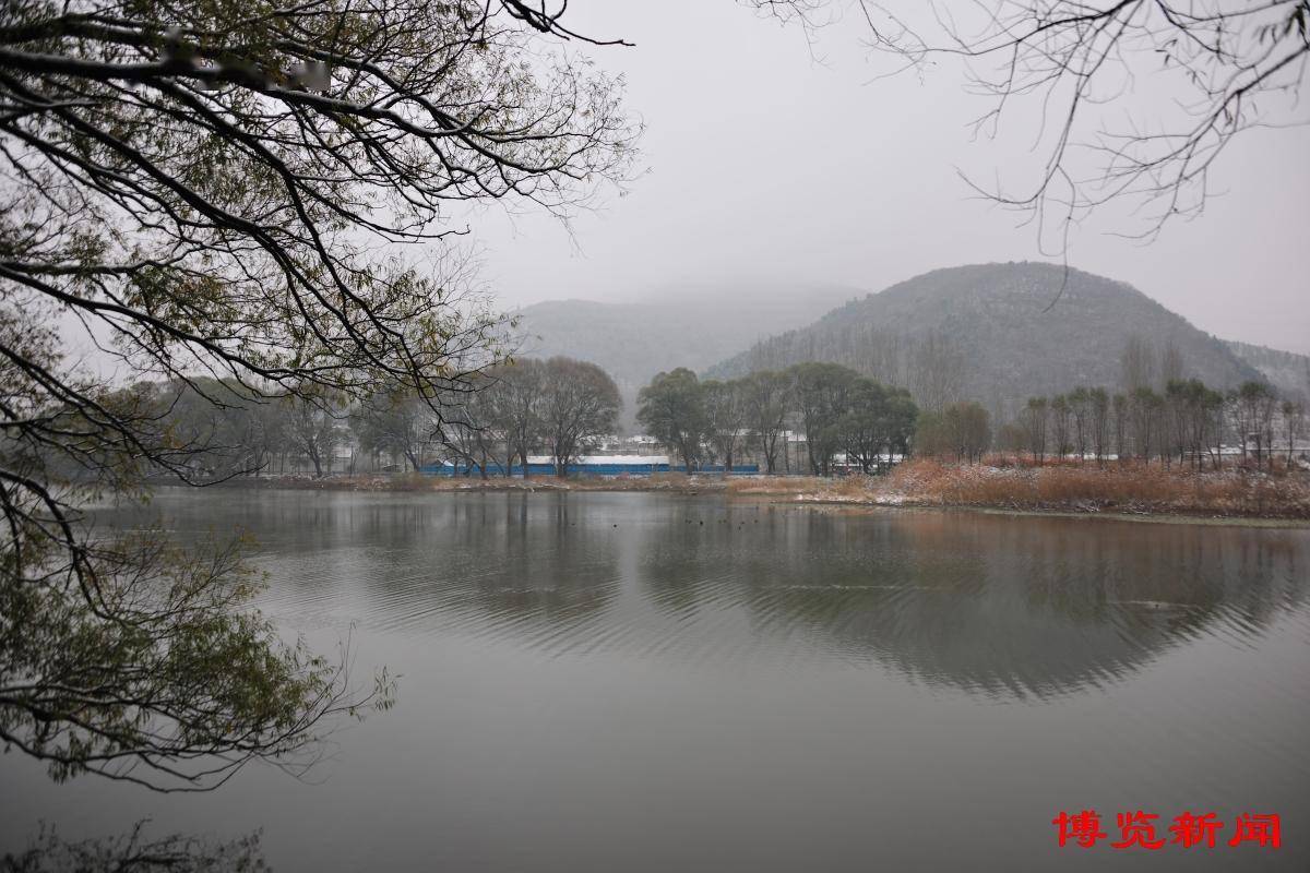 博山五阳湖 雪色山水画_芦家台_白雪_月季