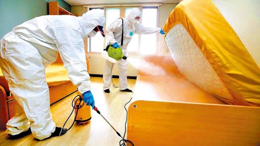 此后,位于韩国东南部大邱的一所私立大学宿舍中也发现臭虫出没,校方