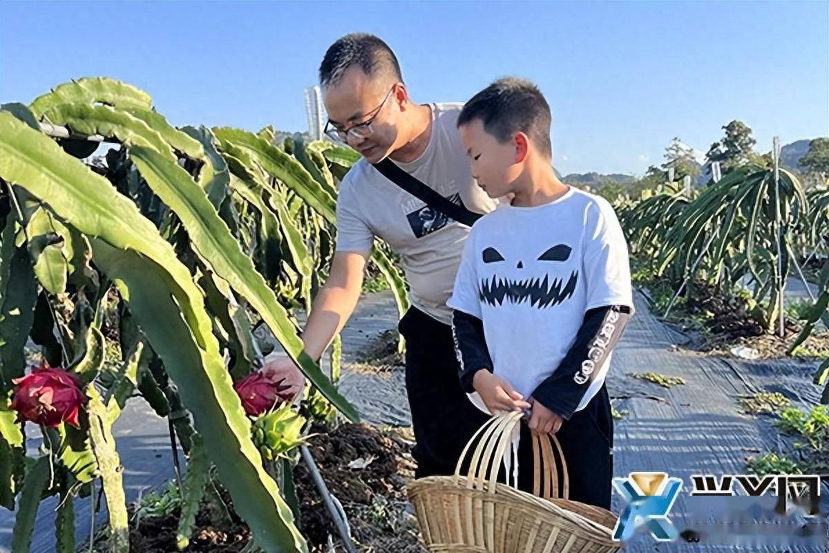 当季水果——舌尖上的时令美味