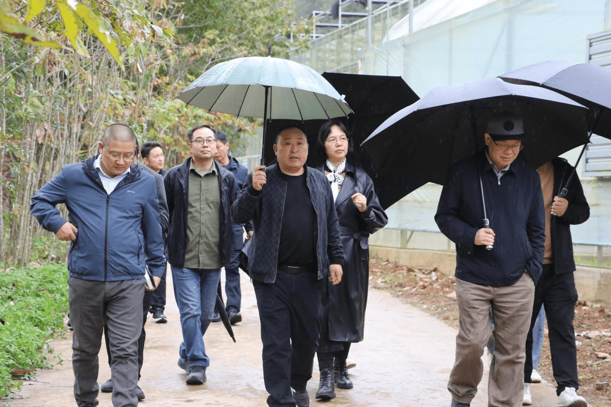 百里画廊 千座山川 科技助力乡村振兴走进诗画鹤峰