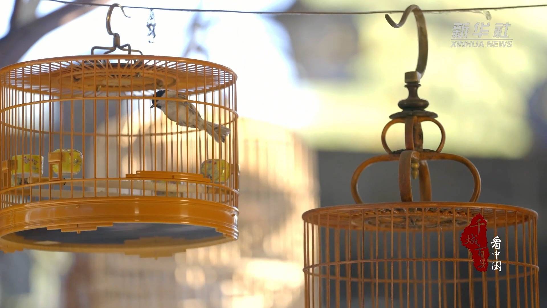 三河乔鸟笼做工精细考究,从选料,烤竹圈,制笼腔,制拉条,制笼顶,制笼门