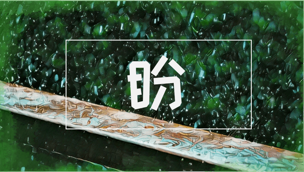 【课件】六年级语文上册 课文17《盼》_雨衣_ng_什么