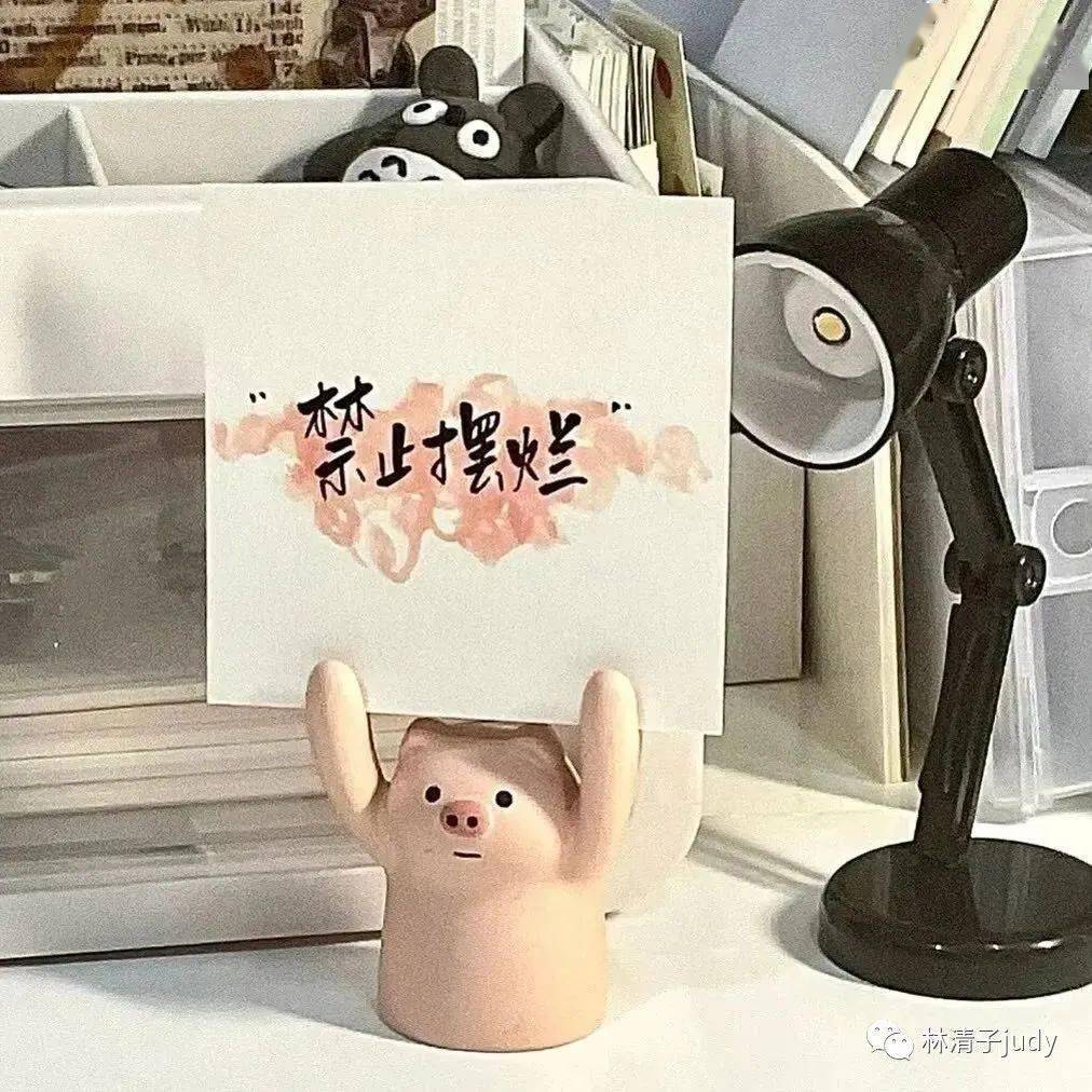 她中年再出发,4点半早起日更1000字,300天后实现了