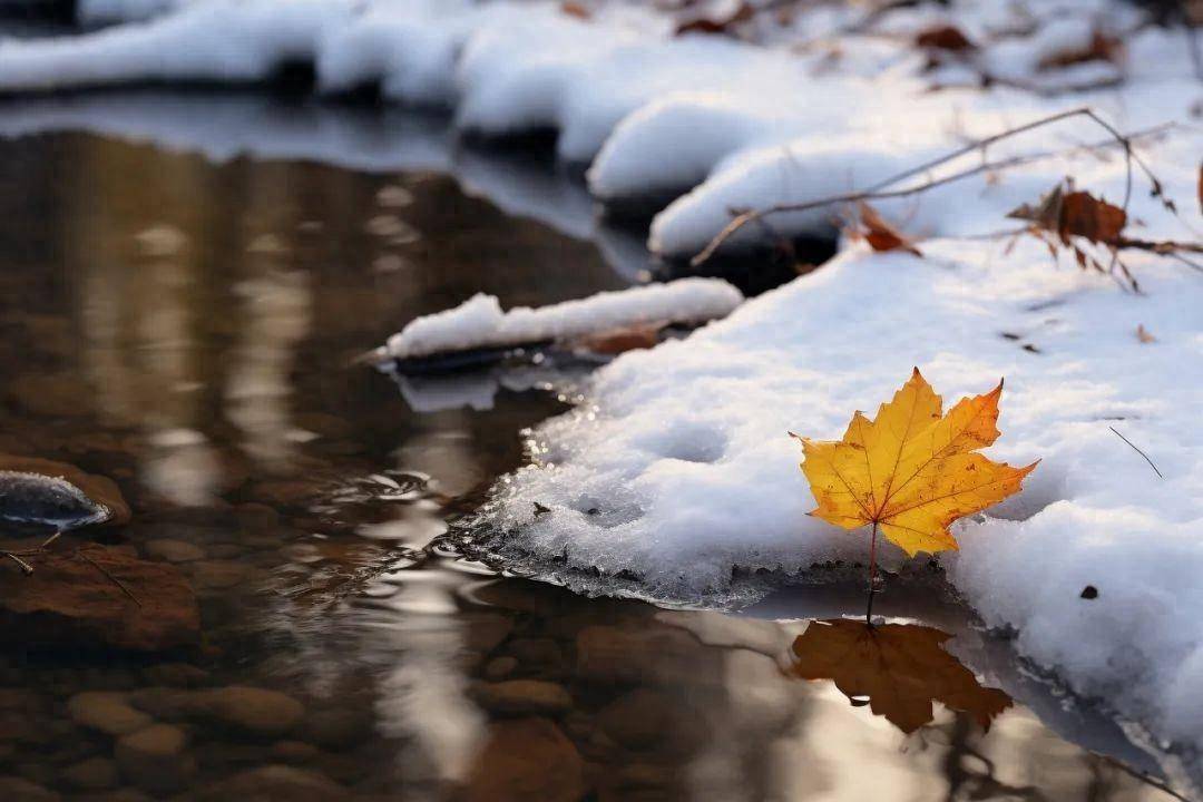 北风潇潇白雪飘飘图片