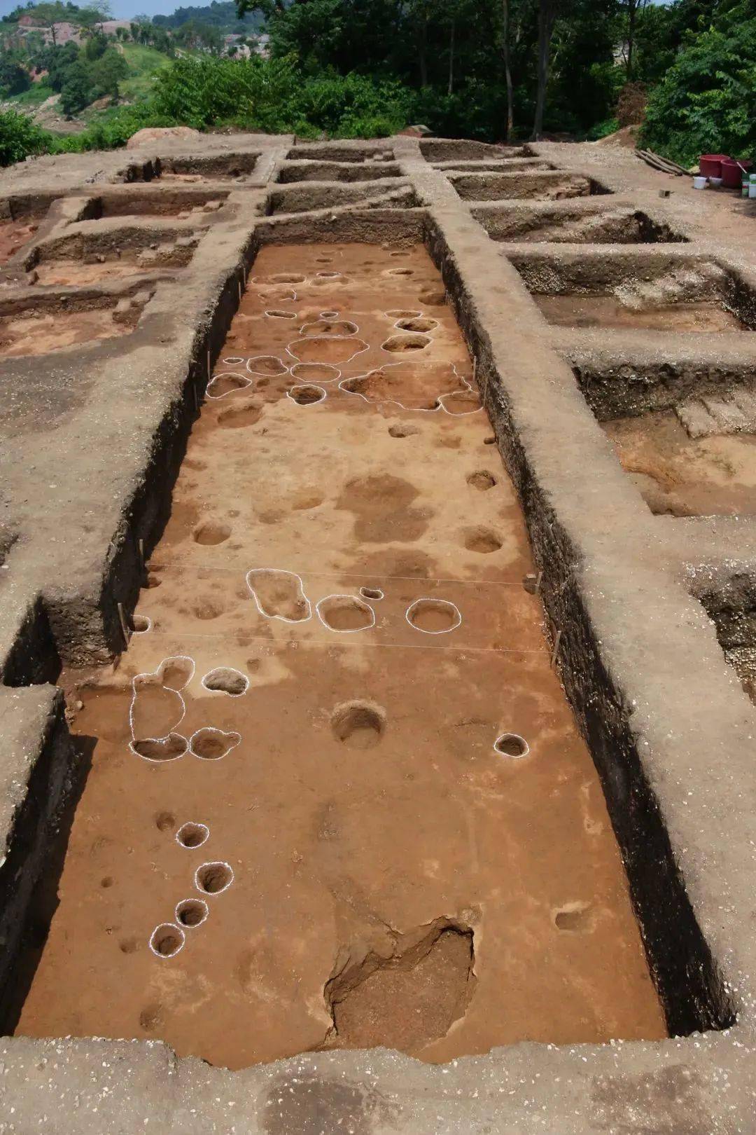 南宁这两位新晋"顶流"背后还有这些故事→_文化_贝丘_遗址