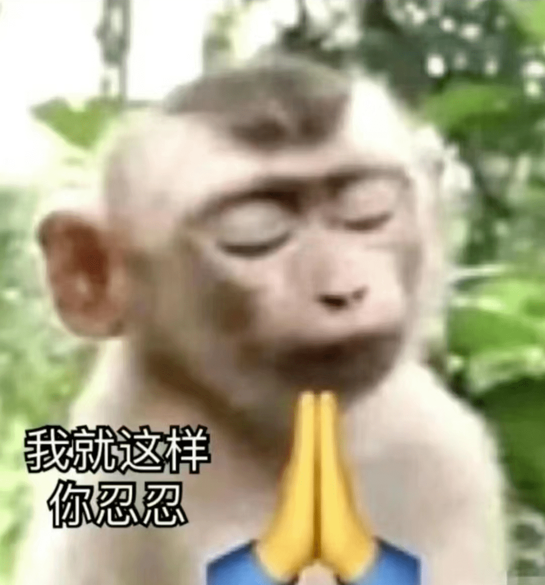 猴子_表情_文学