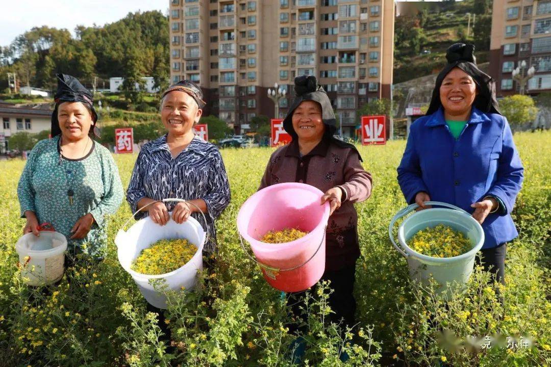 黔东南吴昌和图片