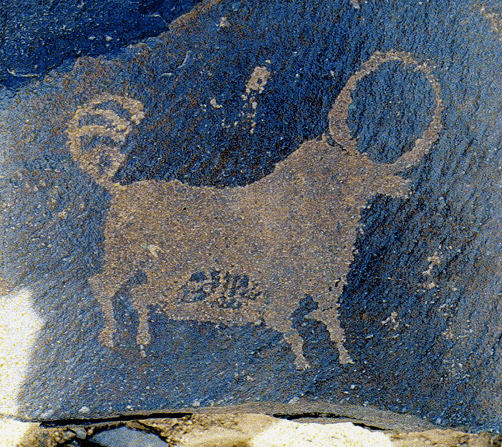 阿拉善岩画:岩石上的史诗 | 对谈_曼德拉山_王晓莉_艺术