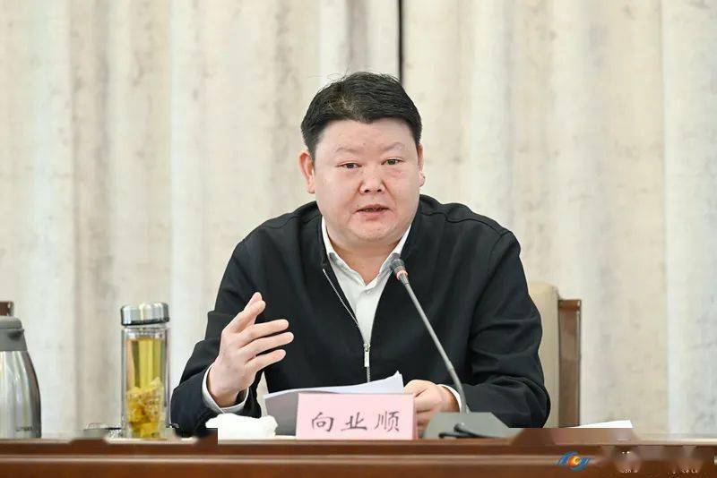 向业顺:全力以赴打造重庆康养品牌首选之地_建设_工作_项目