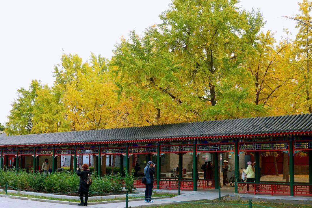 一起追秋丨冬虽至,秋色正盛_城市_万寿公园_色彩