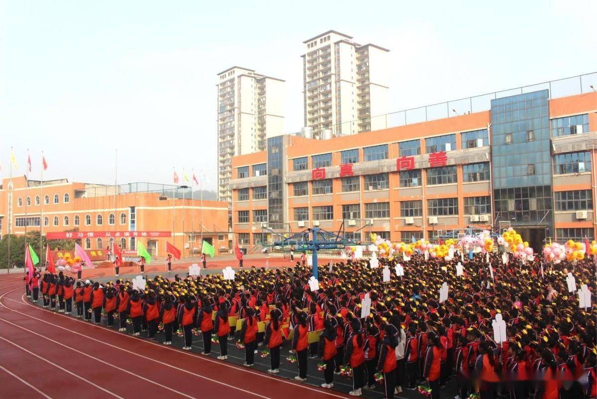 咸宁市实验小学图片