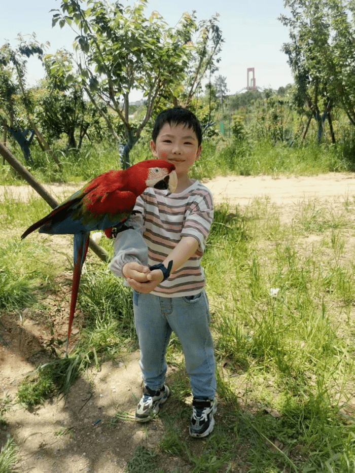 學生習作|有趣的小動物(組文)_尾巴_大熊貓_小黑