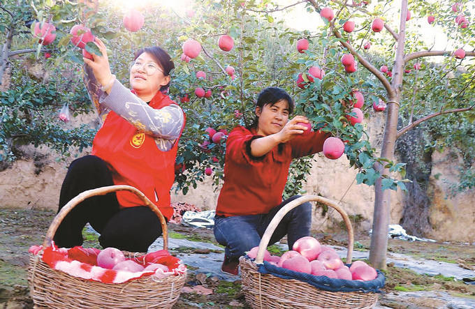 杨湾村干部图片