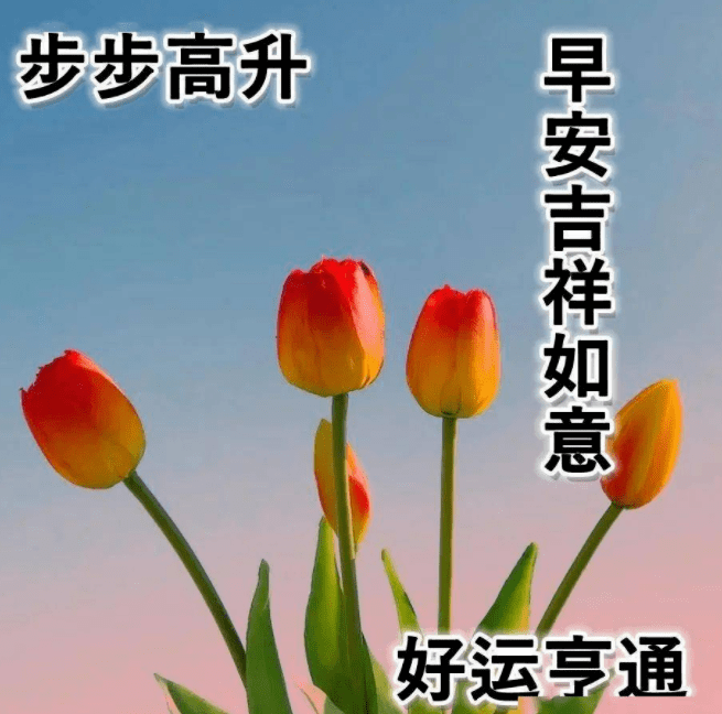 新版非常好看的早安圖片大全,最新版早上好,最美圖片精選_生活_祝福