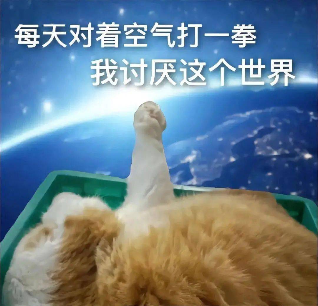 抖音热门表情包:我正忙呢_公众_il_熊猫头