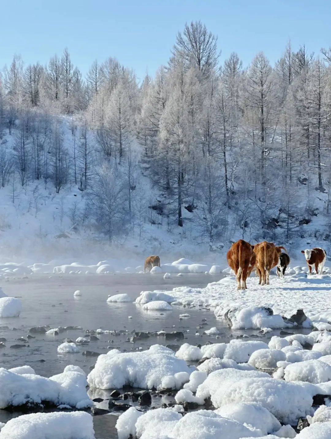 不是冰岛去不起 而是内蒙古更有性价比!