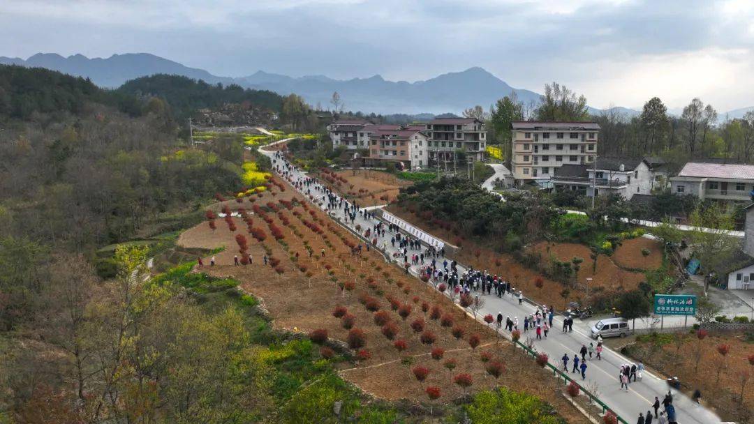 近日,宁强县乡道蒲家坝至丁家坝公路在"2023交旅融合高质量发展与创新