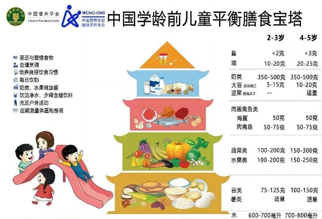 青少年平衡膳食宝塔图片