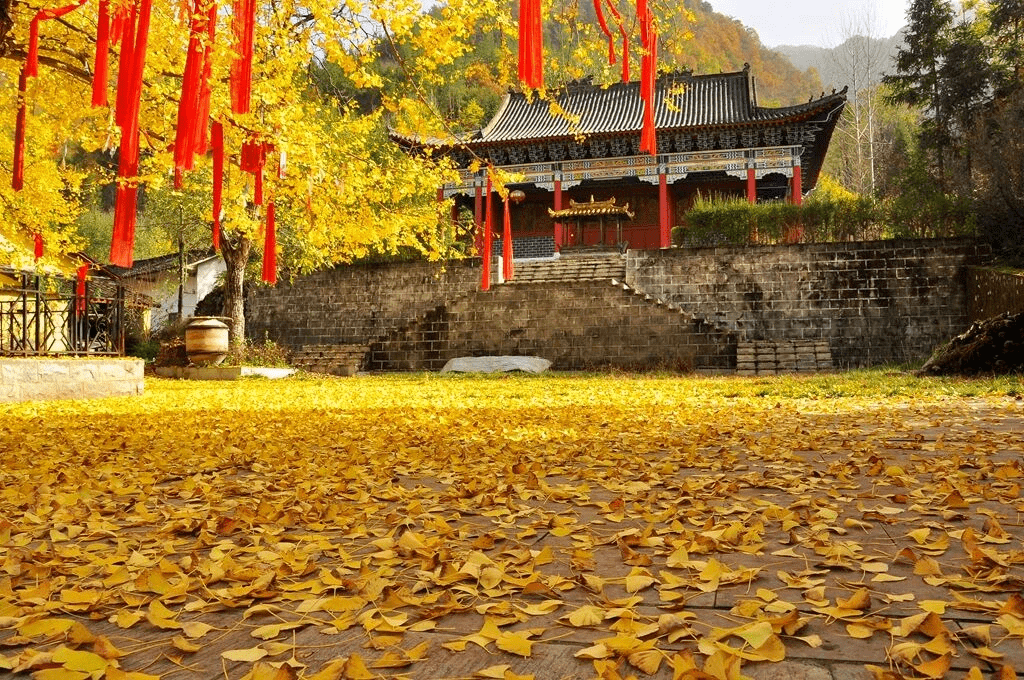 汉中这里藏着诗画般的初冬美景~_佛坪_景区_树叶