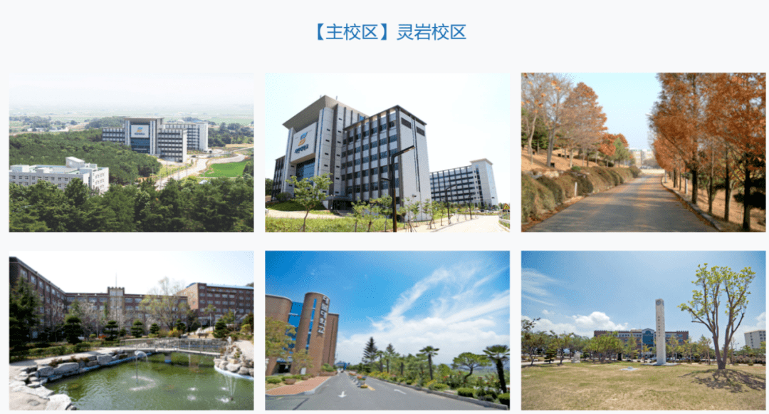 韩国世翰大学图片