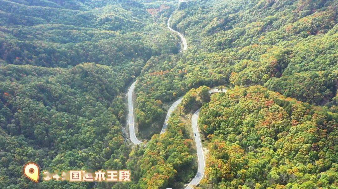 走进镇安|打卡345国道木王段_安融媒_新闻_商洛