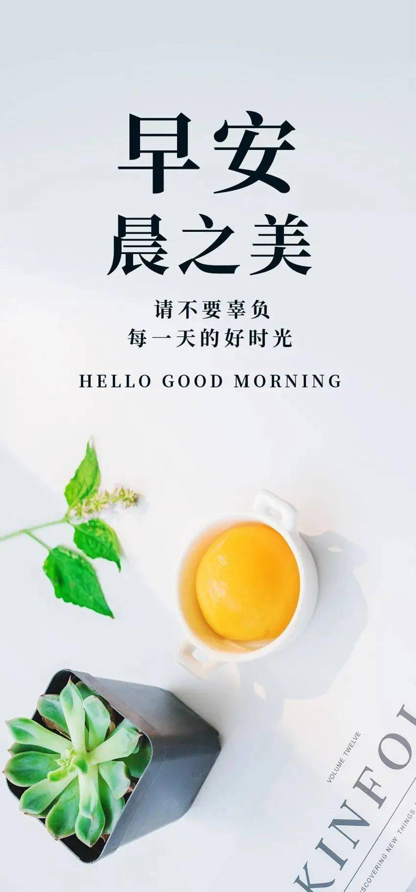 新的一周 励志正能量句子总有一句适合你