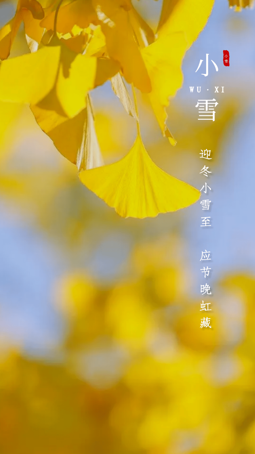 小雪!明天,无锡正式迎来……_气温_冷空气_寒潮