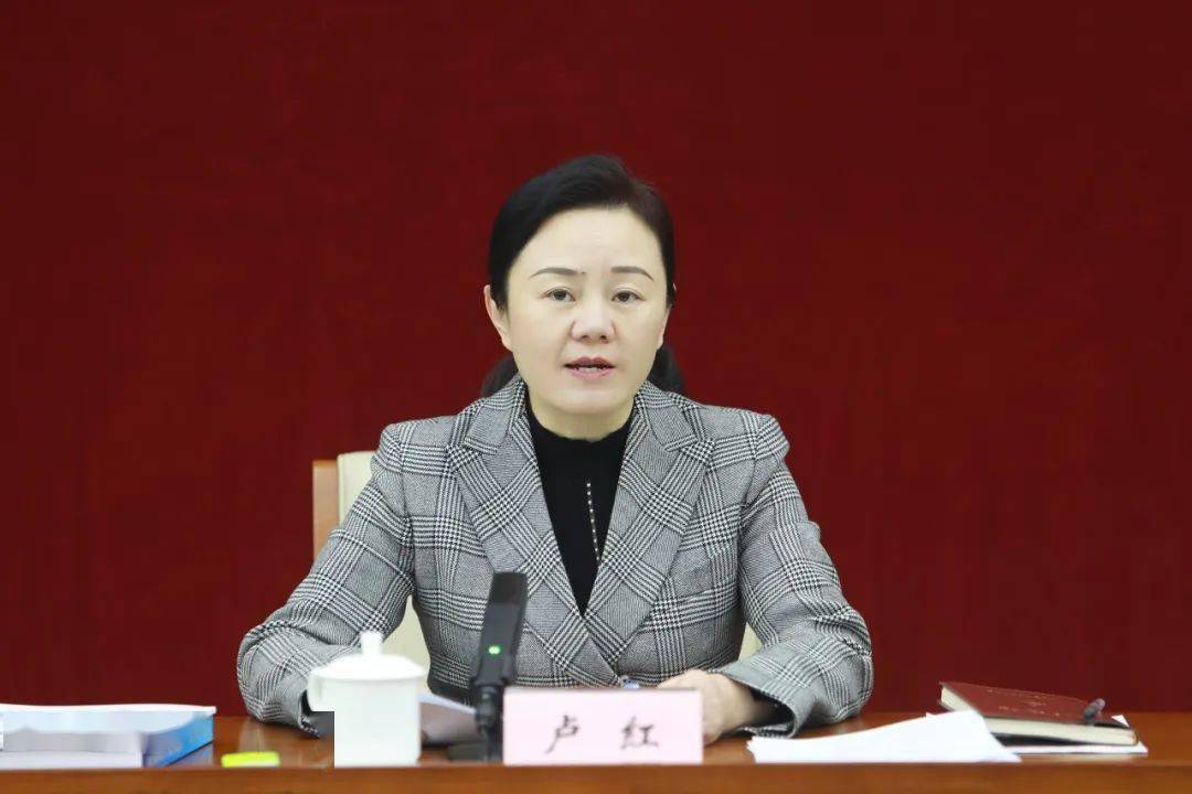 市委常委,统战部部长卢红赴九龙坡渝北巴南调研并召开主城片区统战