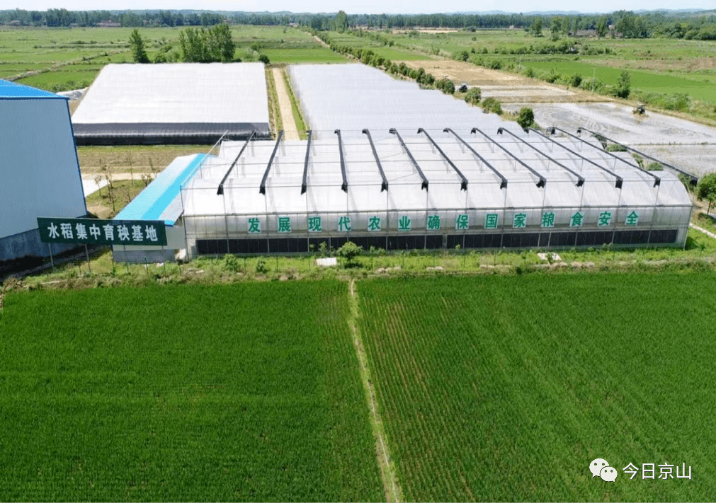 【全省主流媒体看京山】探索秸秆"淘金路"扩宽渠道谋发展_家庭农场