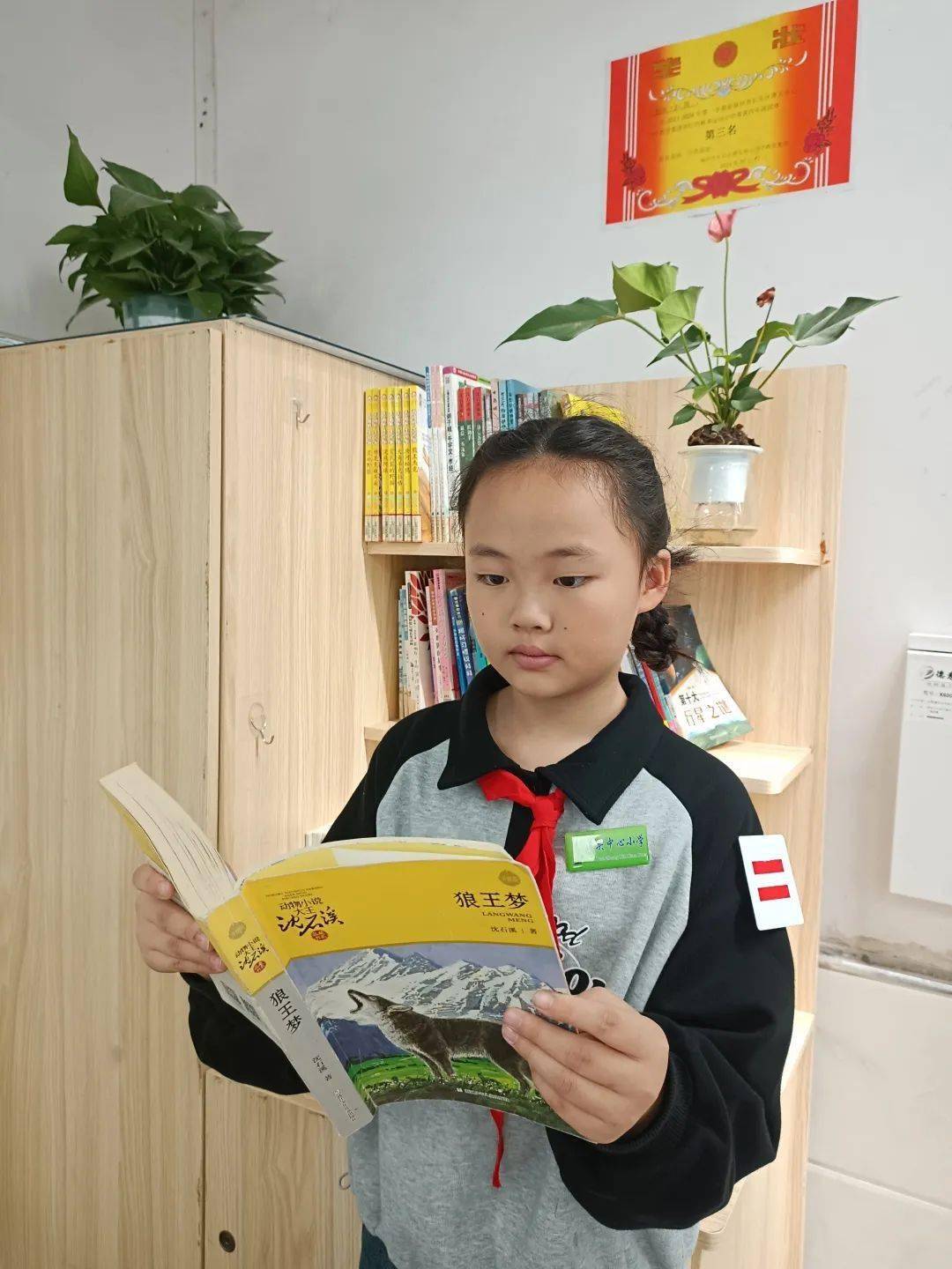 【全民阅读】潭头中心小学举行"小小图书角,浓浓书韵香"2023年"读书月