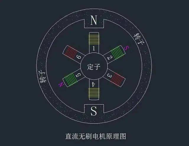 如圖5所示,這是一個直流無刷電機結構模型圖.