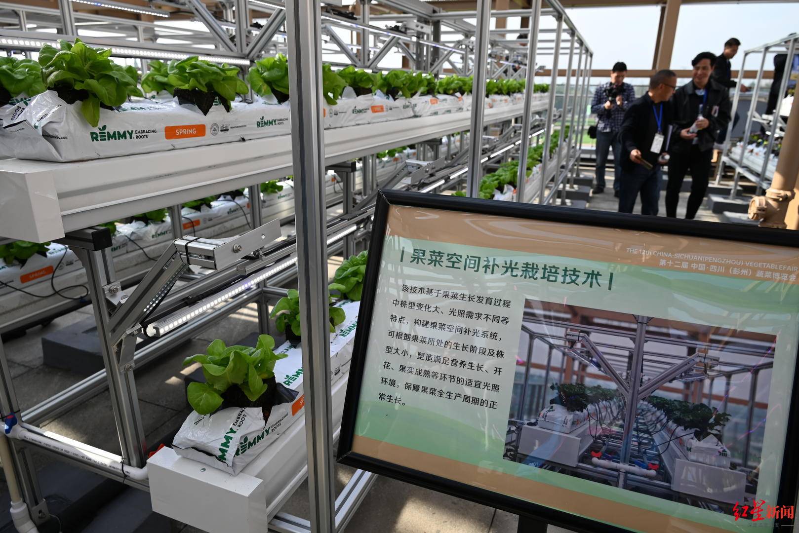 第十二届中国·四川(彭州)蔬菜博览会开幕_农业_发展_产业