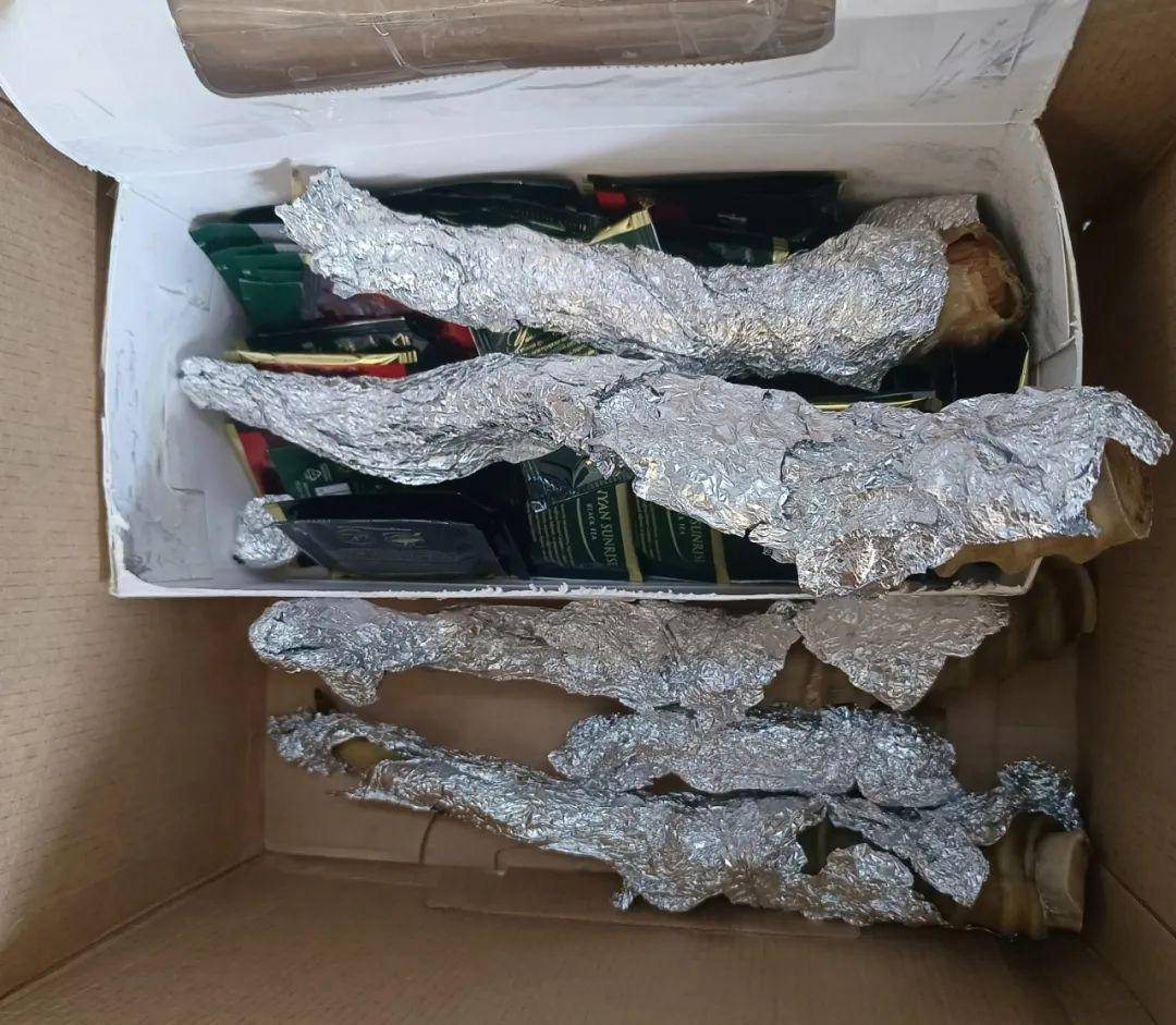 查获高鼻羚羊角15根_海关_濒危_物种