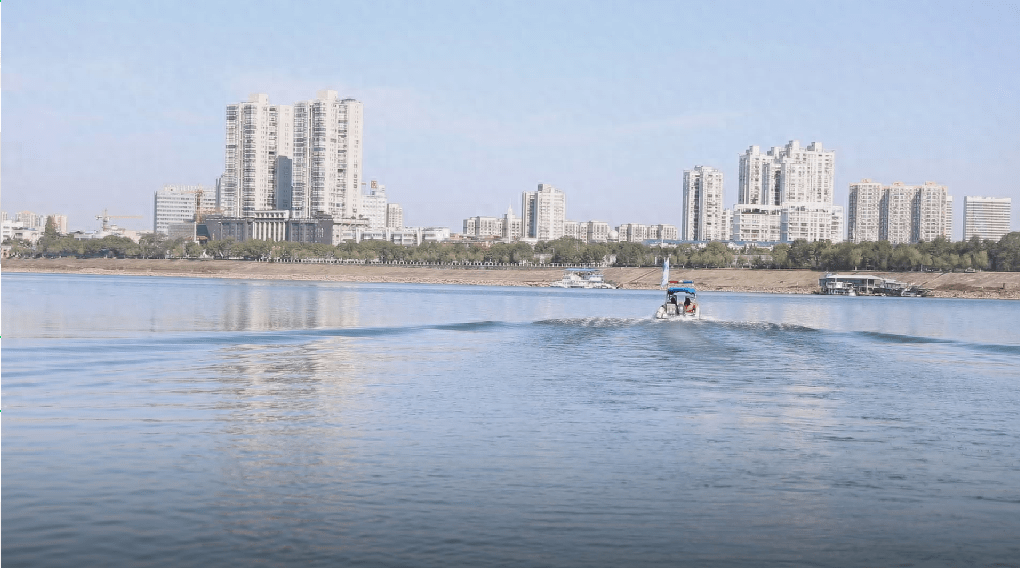 沅水鼎城段首次监测到濒危物种——鳤鱼_湖南省_长江_捕捞