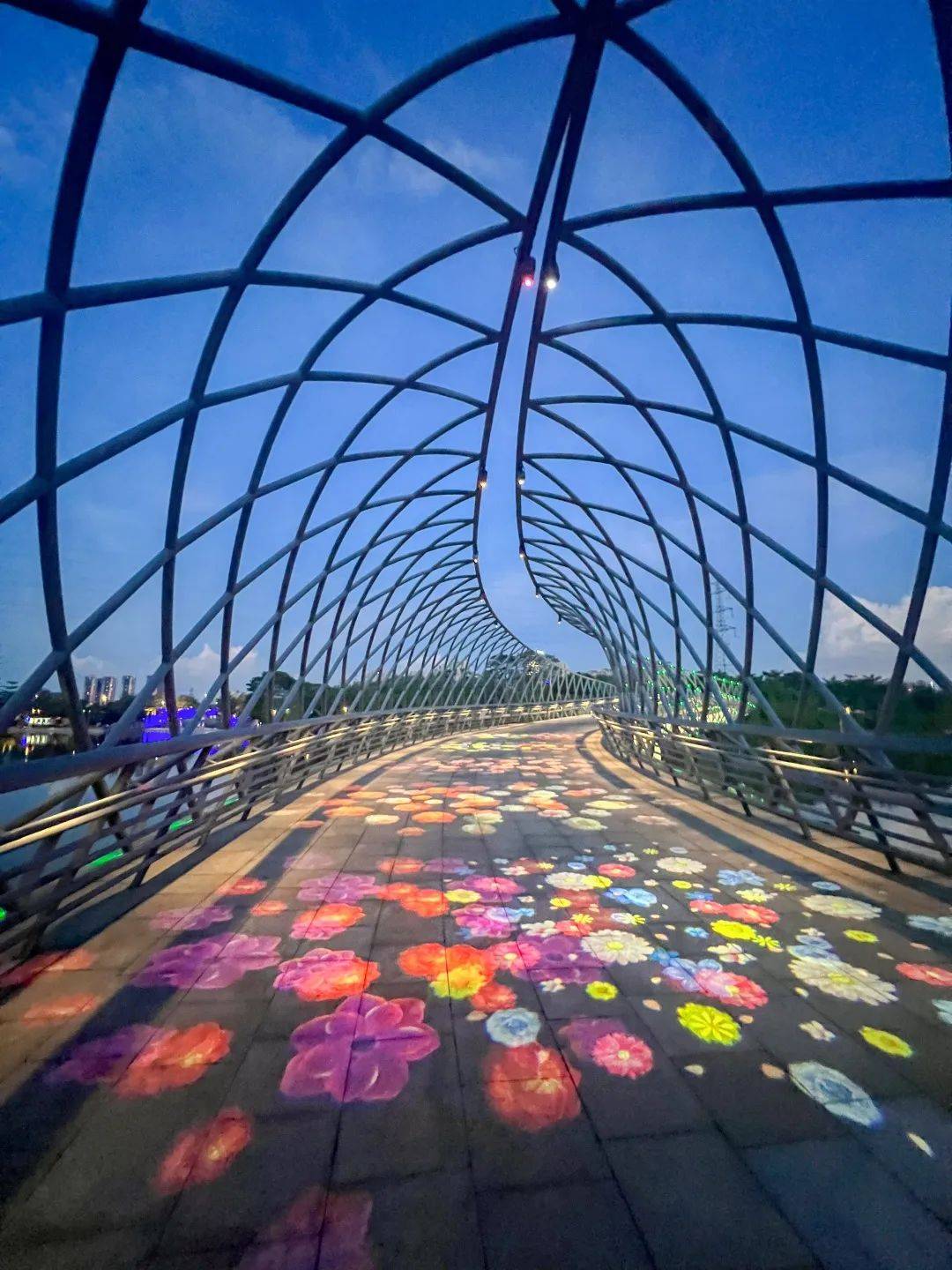 夜色下的博爱湖是狮山又一张视觉名片.