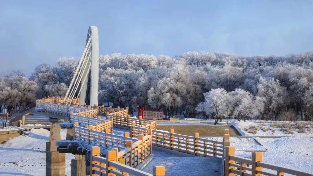 团团荐家乡 | 黑河冬天的氛围感已拉满_黑龙江_世凡_冬日